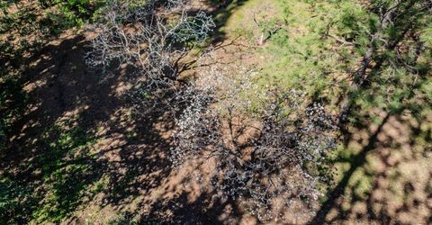 22401 Shake Ridge Rd, Volcano, CA 95689 Photo
