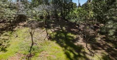 22401 Shake Ridge Rd, Volcano, CA 95689 Photo