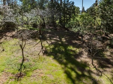 22401 Shake Ridge Rd, Volcano, CA 95689 Photo