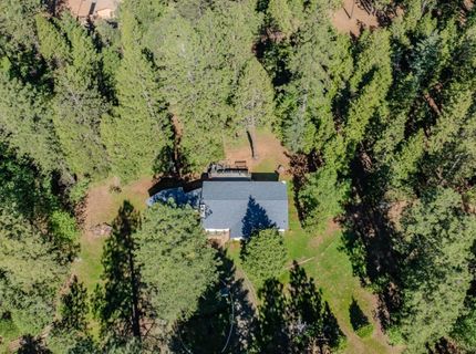 22401 Shake Ridge Rd, Volcano, CA 95689 Photo