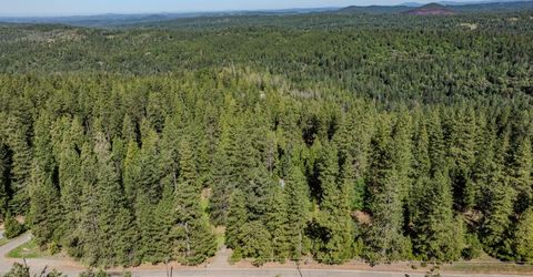 22401 Shake Ridge Rd, Volcano, CA 95689 Photo