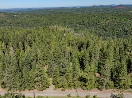 22401 Shake Ridge Rd, Volcano, CA 95689 Photo