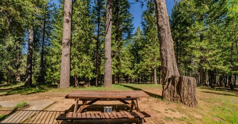 22401 Shake Ridge Rd, Volcano, CA 95689 Photo