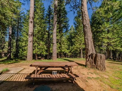 22401 Shake Ridge Rd, Volcano, CA 95689 Photo