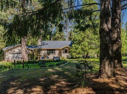 22401 Shake Ridge Rd, Volcano, CA 95689 Photo