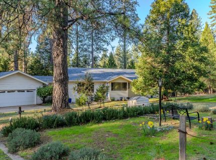 22401 Shake Ridge Rd, Volcano, CA 95689 Photo