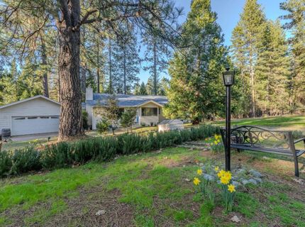 22401 Shake Ridge Rd, Volcano, CA 95689 Photo