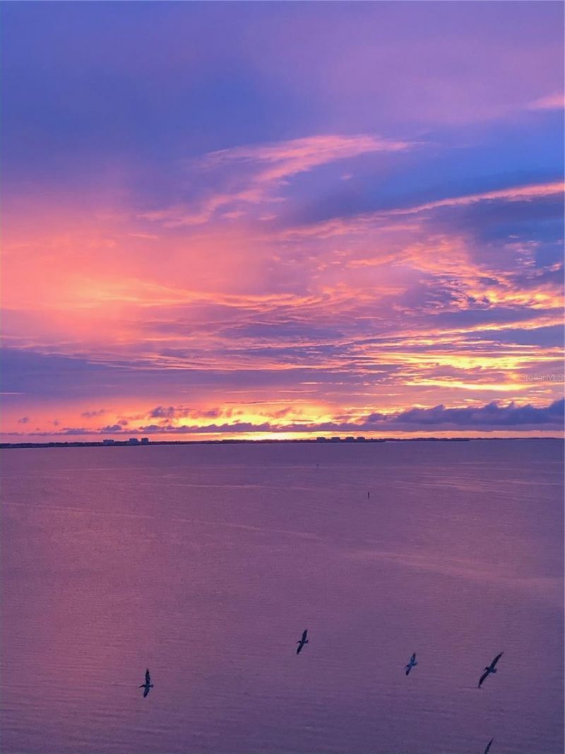 988 Blvd Of The Arts Boulevard, Unit 1617, Sarasota, FL 34236 Photo