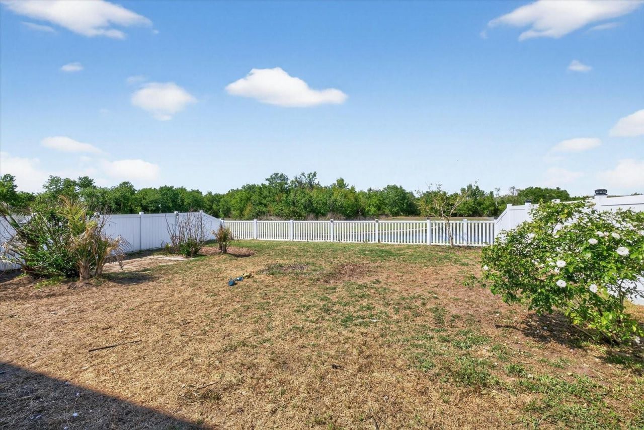 14825 Crescent Rock Drive, Wimauma, FL 33598 Photo