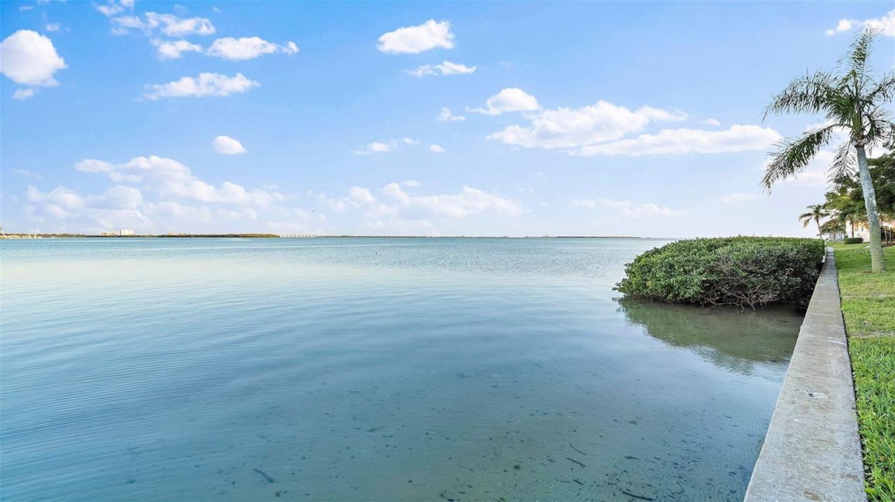 6372 Palma Del Mar Boulevard S, Unit 1207, Saint Petersburg, FL 33715 Photo