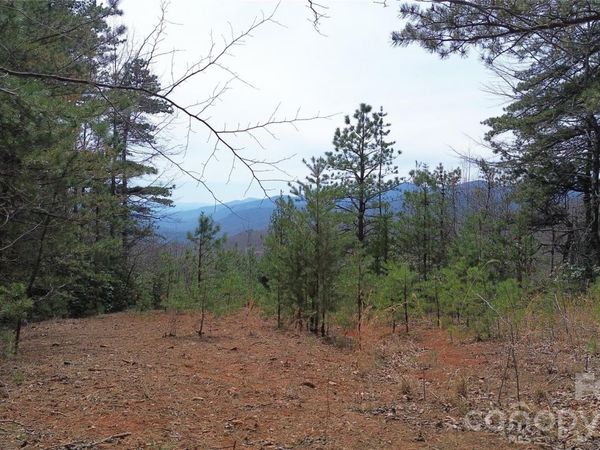 850 Harmonys Edge Drive , Old Fort, NC 28762