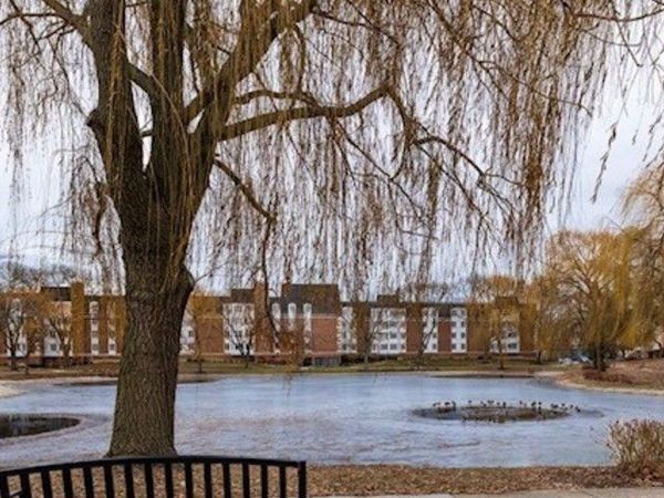 225 Lake Boulevard , Unit 517, Buffalo Grove, IL 60089