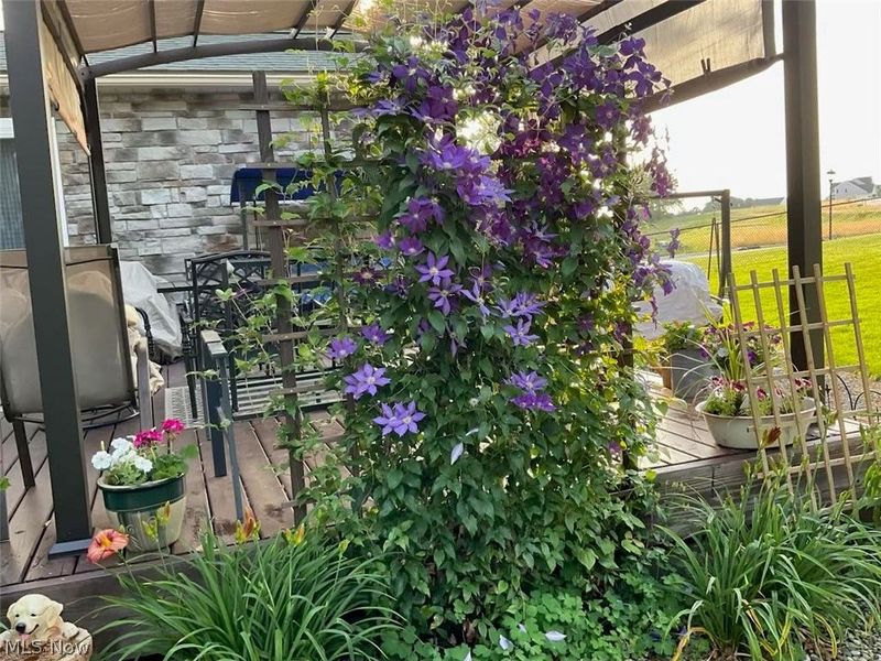 5051 Fox Ridge Drive, Green, OH 44720 Photo 36