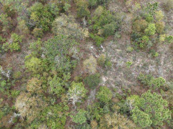 000 Darlington Drive , Chipley, FL 32428