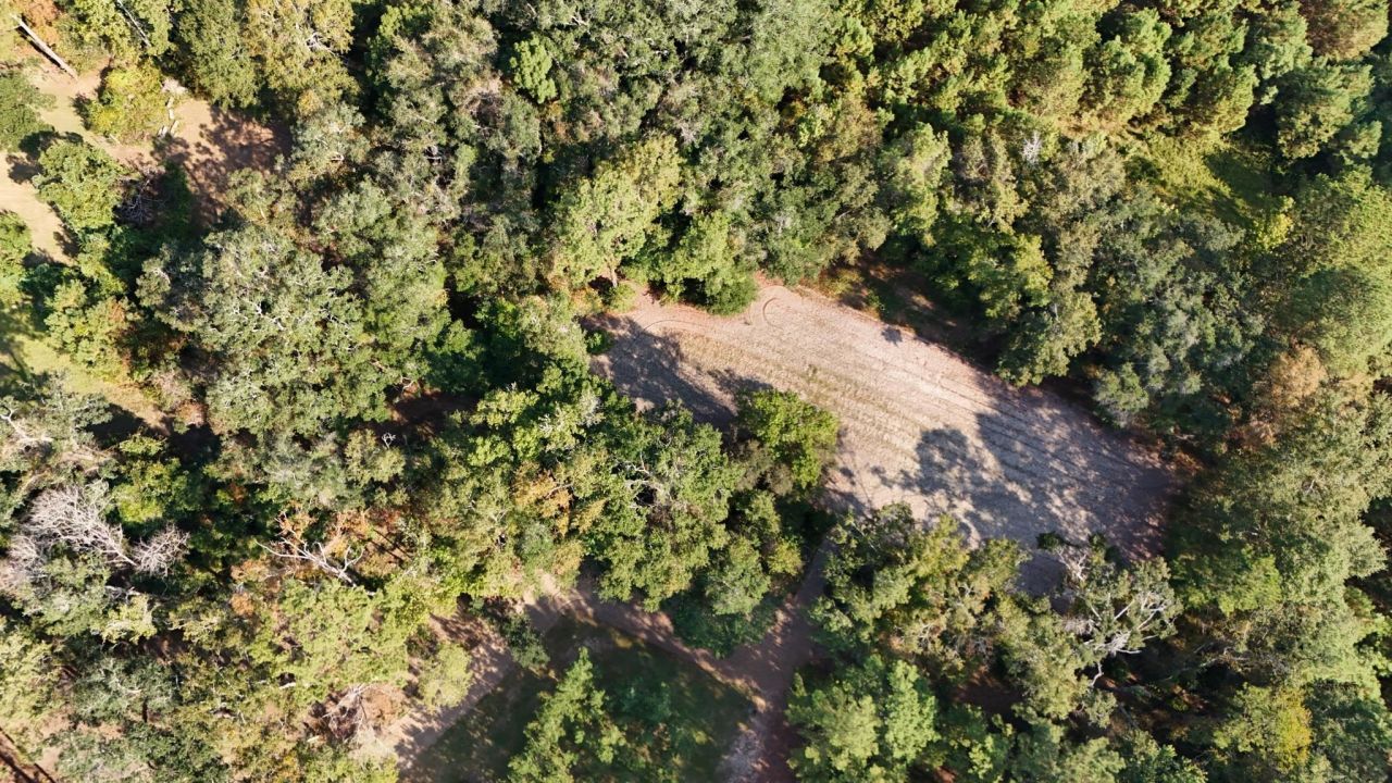 1309 Cook Rd., Lamont, FL 32336 Photo