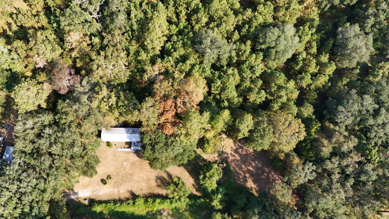 1309 Cook Rd., Lamont, FL 32336 Photo