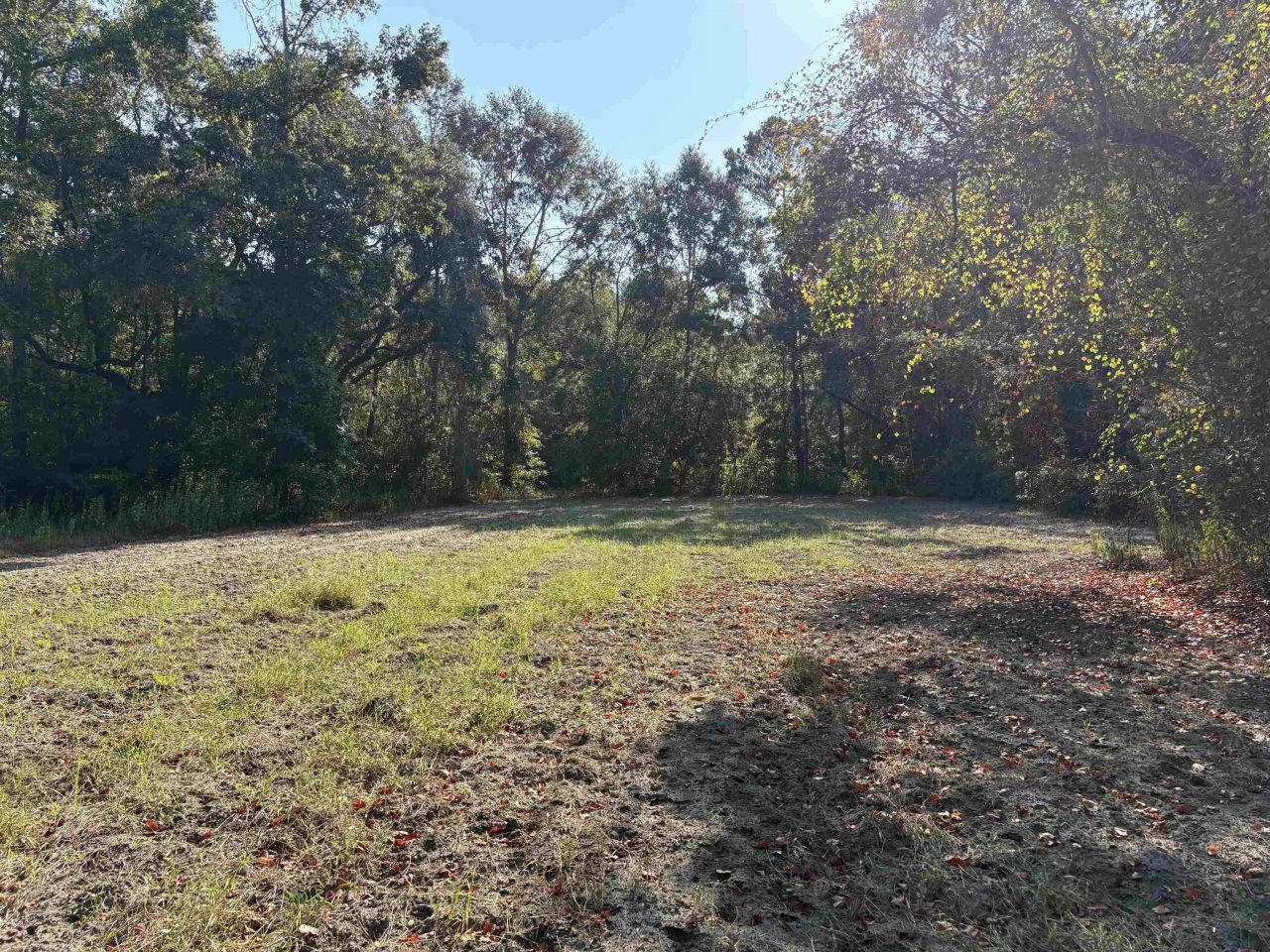 1309 Cook Rd., Lamont, FL 32336 Photo