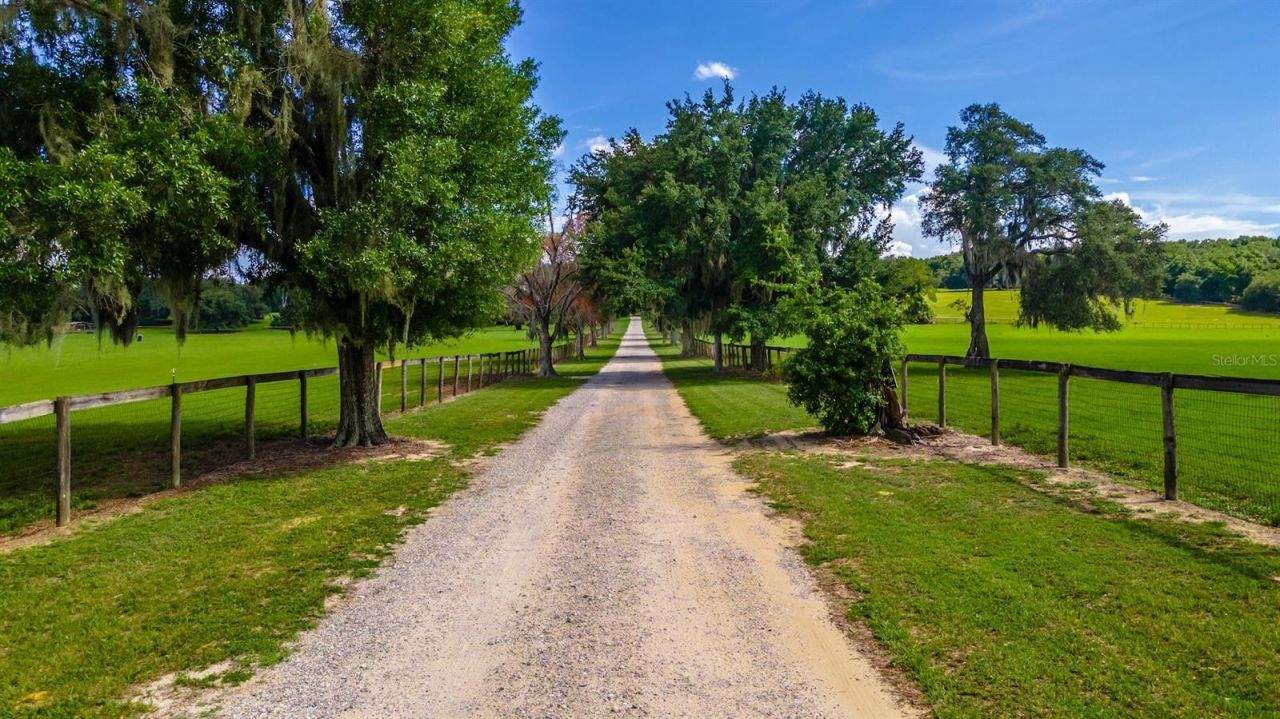 23100 SE Highway 42, Umatilla, FL 32784 Photo