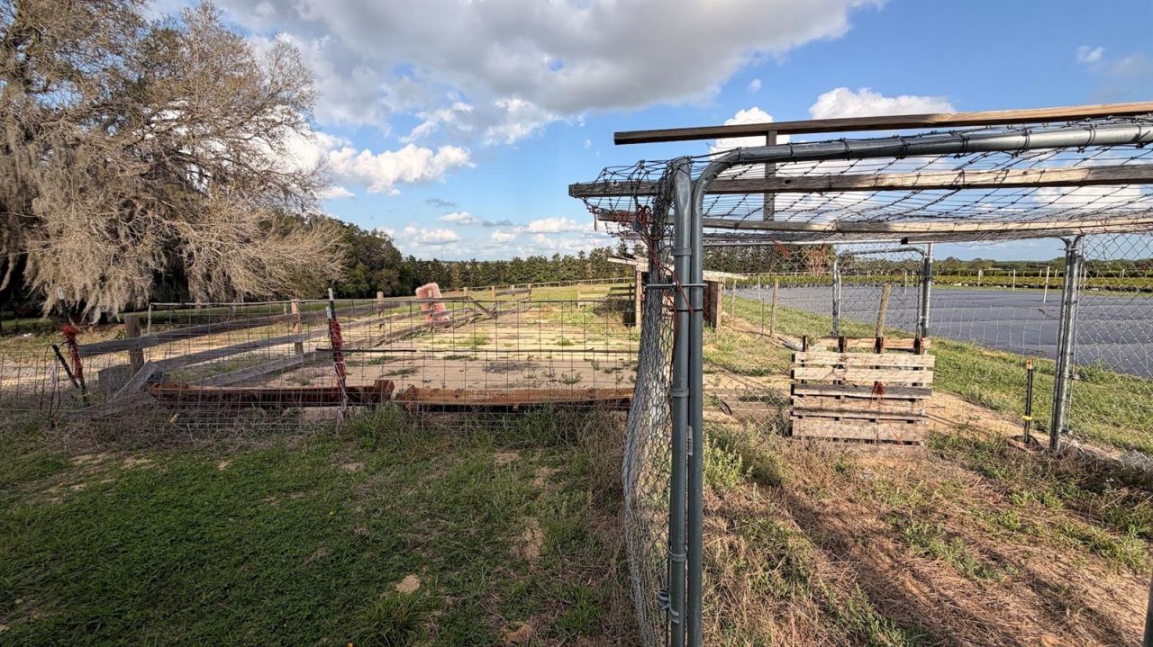 23100 SE Highway 42, Umatilla, FL 32784 Photo