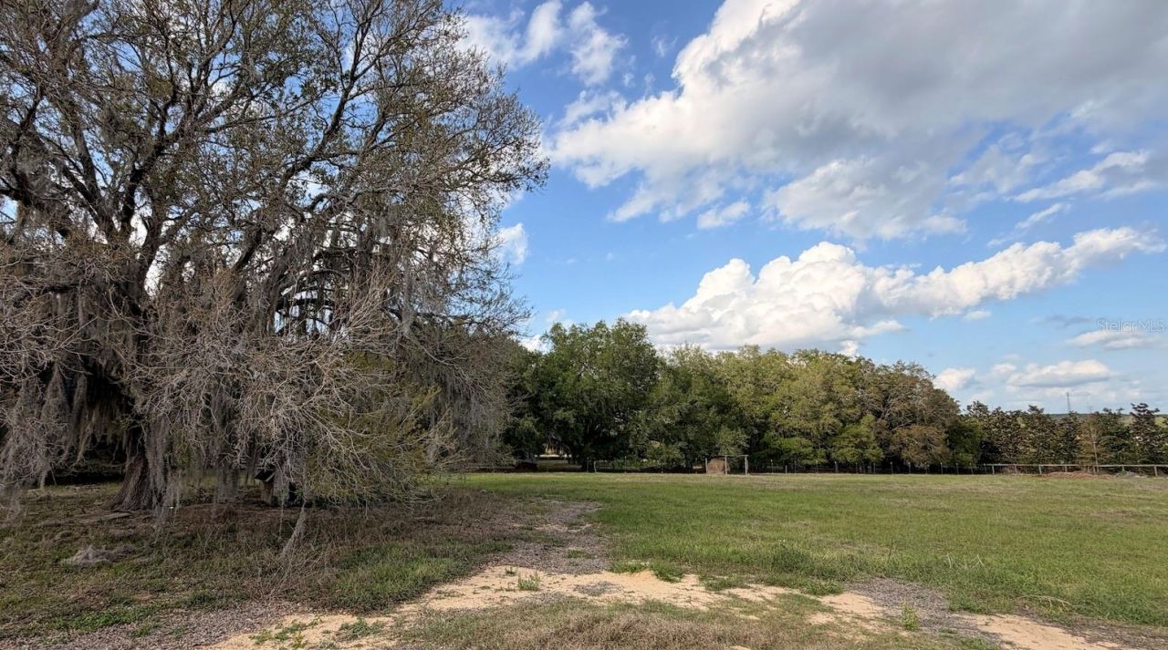 23100 SE Highway 42, Umatilla, FL 32784 Photo