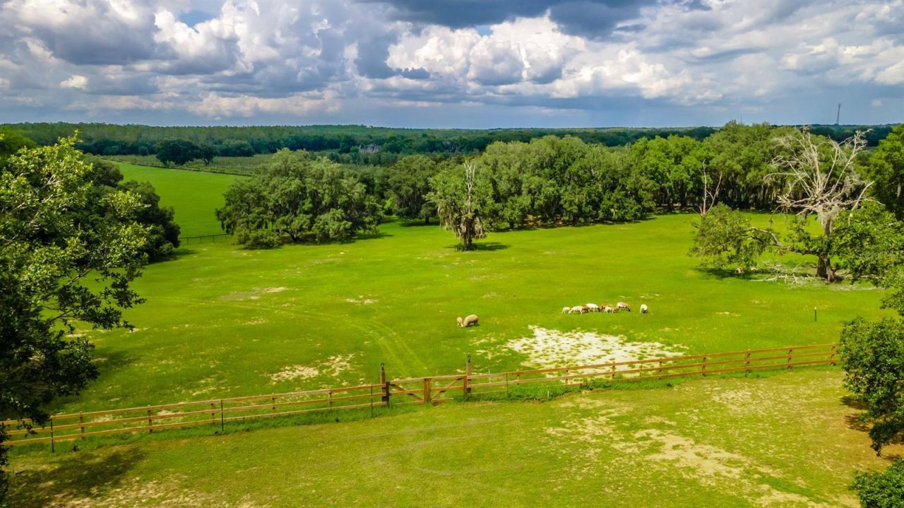 23100 SE Highway 42, Umatilla, FL 32784 Photo