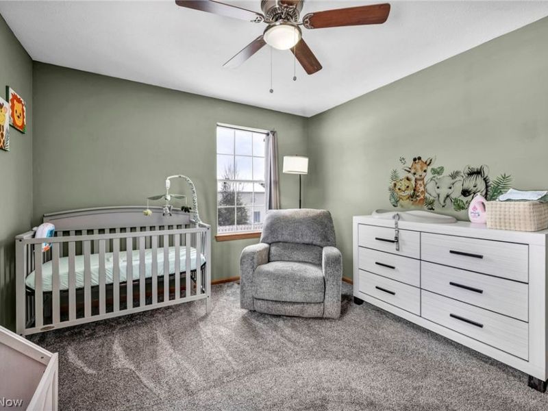 27 Kenilworth Avenue, Painesville, OH 44077 Photo 27