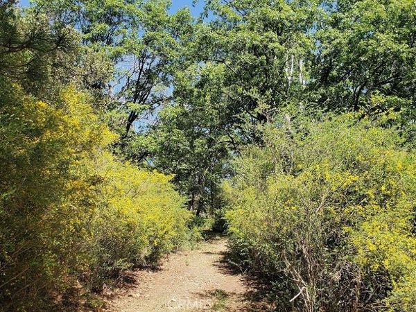 11890 Loch Lomond, Loch Lomond, CA 95461