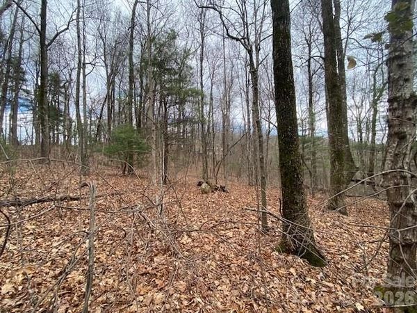 395 W Chestnut Ridges Road , Hendersonville, NC 28739