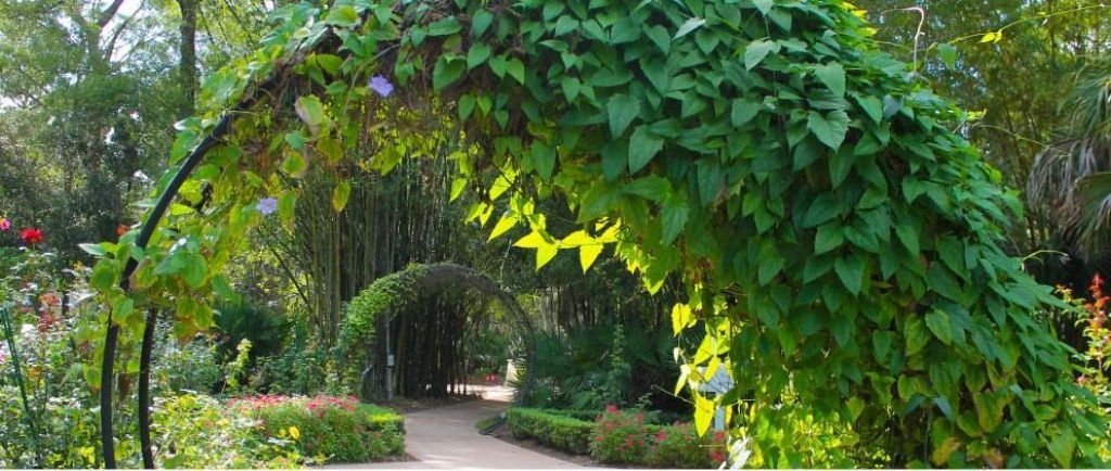 3442 SW Esperanto Street, Port Saint Lucie, FL 34953 Photo