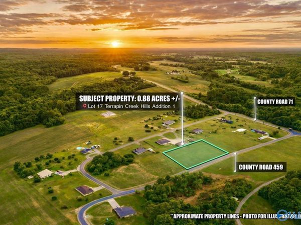 Lot 17 County Road 459, Centre, AL 35960
