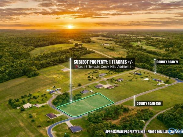 Lot 16 County Road 459, Centre, AL 35960