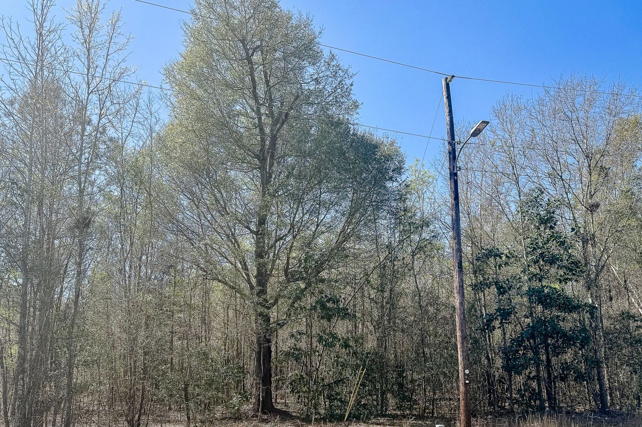 5986 Voorhees Road Photo 6