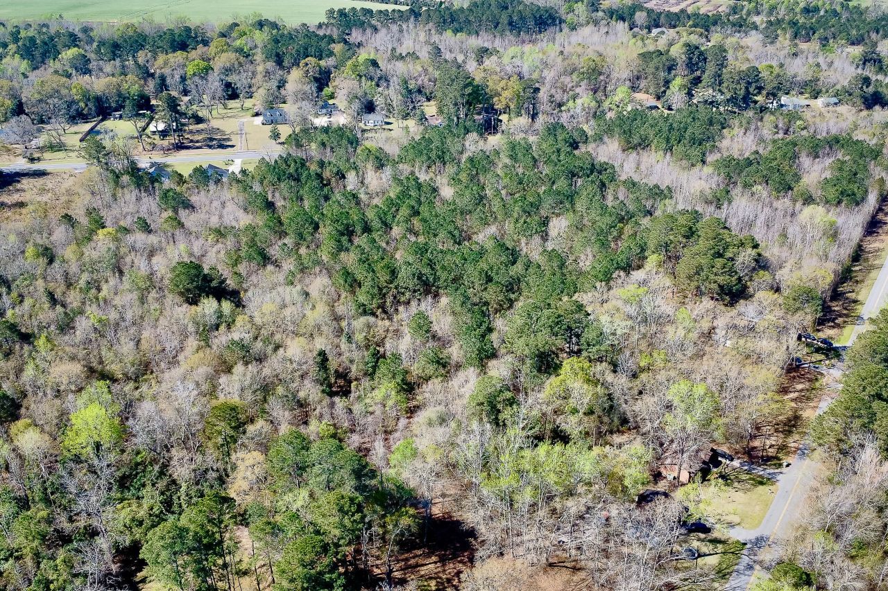 5986 Voorhees Road Photo 8