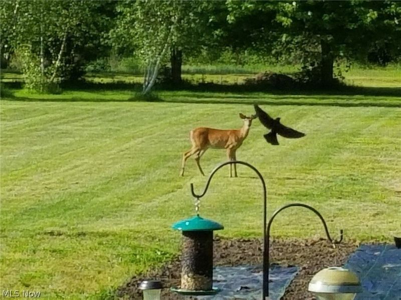 44565 Stang Road, Elyria, OH 44035 Photo 45