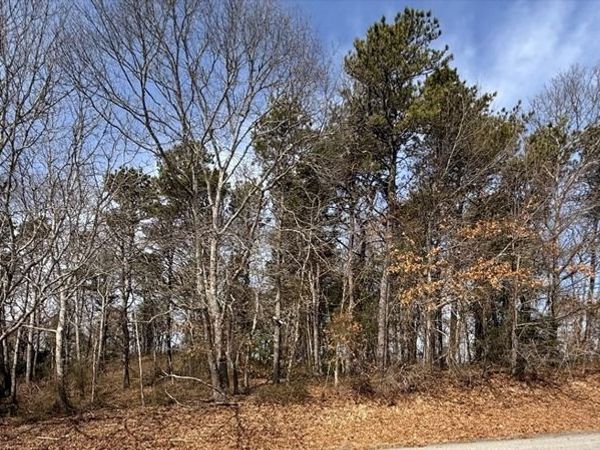 1 Luigi, Bourne, MA 02562