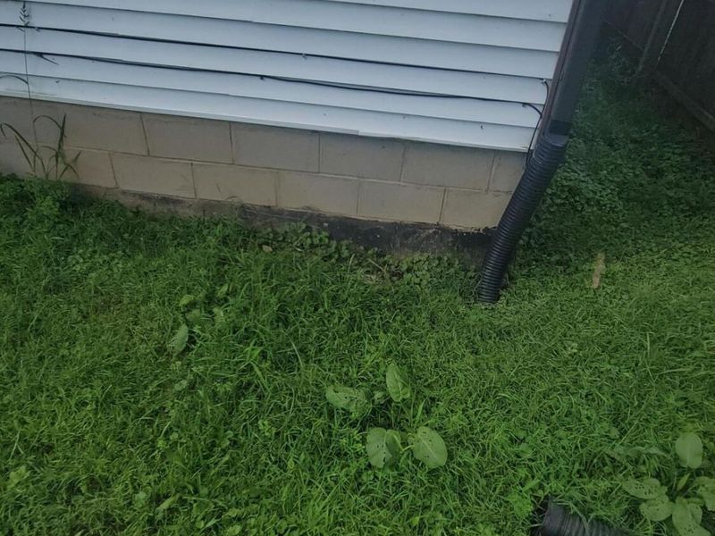 219 W 5th Street, Mansfield, OH 44903 Photo 30