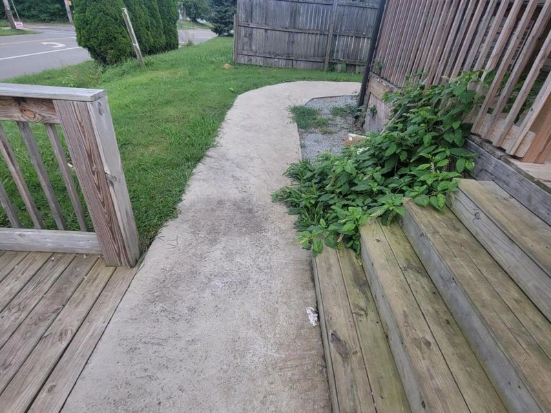 219 W 5th Street, Mansfield, OH 44903 Photo 33