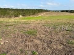 Muncie Road , Babson Park, FL 33827 Photo