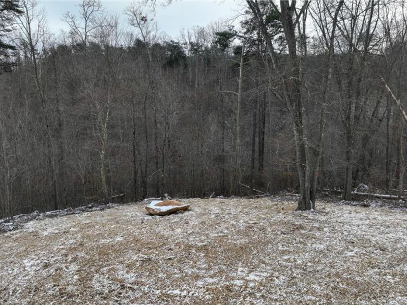 0 Holbrook Road, Beaver, OH 45613 Photo 4