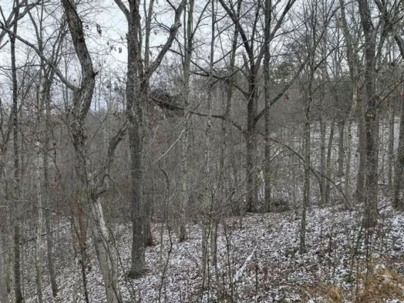 0 Holbrook Road, Beaver, OH 45613 Photo 6