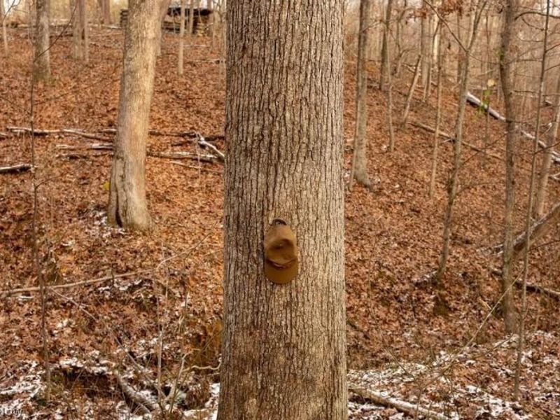 0 Holbrook Road, Beaver, OH 45613 Photo 7