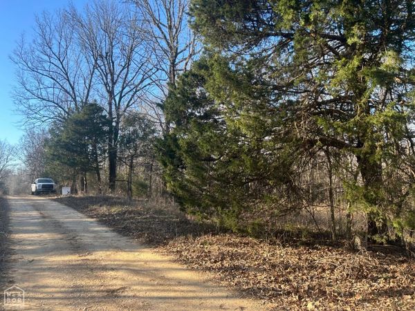 1100 CR 796, Brookland, AR 72405