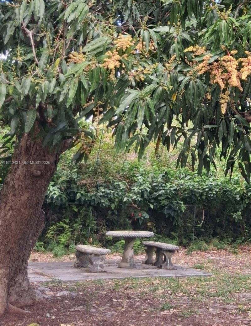 1043 NE 114th St, Biscayne Park, FL 33161 Photo