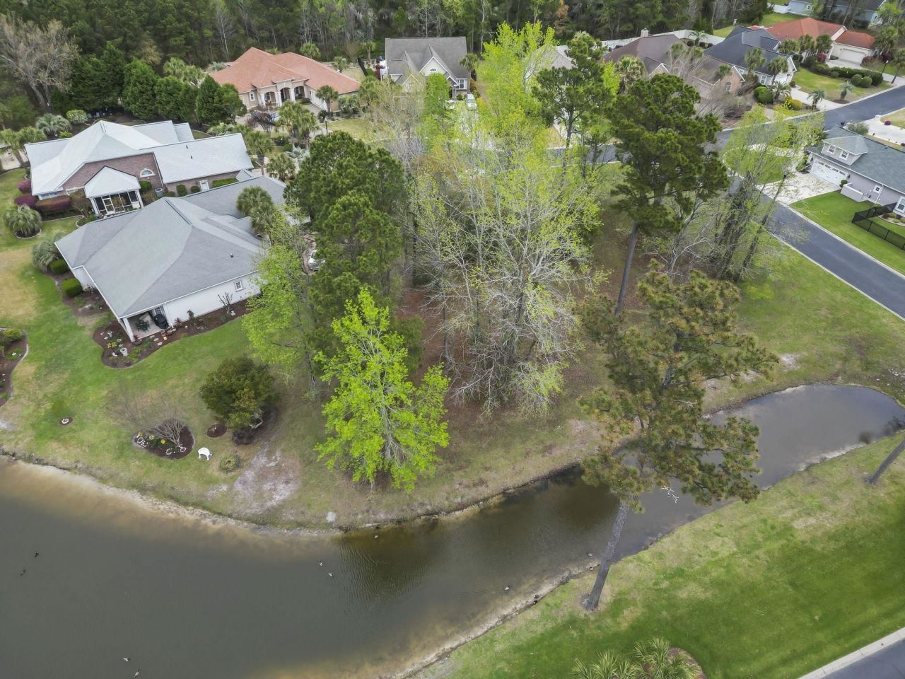 8031 Bird Key Ct. Photo 9