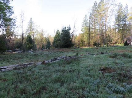 190 Bald Mountain Rd, West Point, CA 95255 Photo