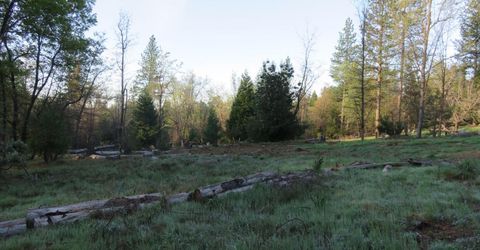 190 Bald Mountain Rd, West Point, CA 95255 Photo
