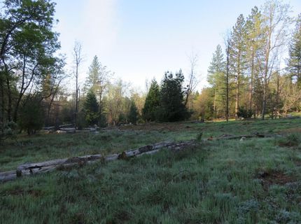 190 Bald Mountain Rd, West Point, CA 95255 Photo