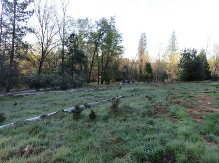 190 Bald Mountain Rd, West Point, CA 95255 Photo