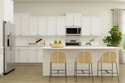 287 Denham Street photo 4