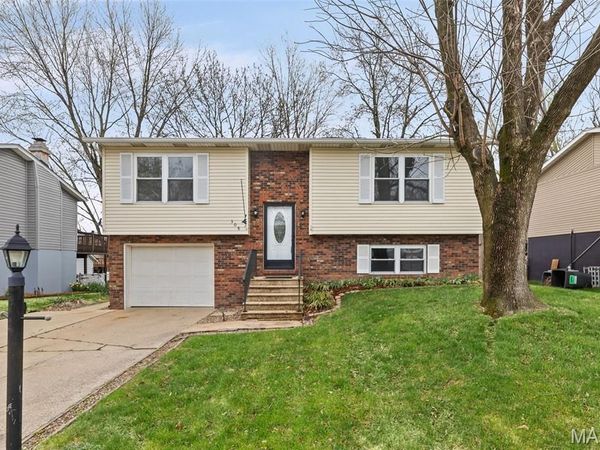 308 Las Olas Drive, Belleville, IL 62221